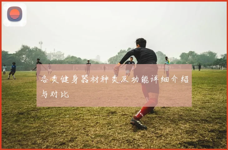 各类健身器材种类及功能详细介绍与对比