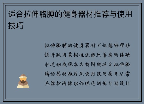 适合拉伸胳膊的健身器材推荐与使用技巧
